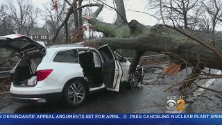 Cleanup Begins After Nor'easter Pummels Tri-State Area