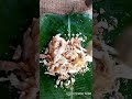 kaavanna natham parotta with mutton chukka nathamparotta kaavanna