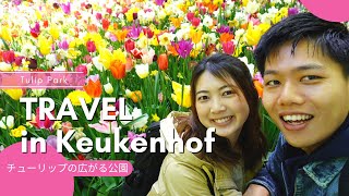 [Netherlands Travel]A day trip to Keukenhof EP 44  | [ENG sub]