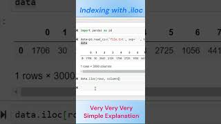 How to access data using Python Indexing