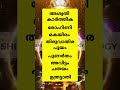 ഇന്ന് ഫെബ്രുവരി ഒന്ന് പ്രശ്നവശാൽ തെളിഞ്ഞത് astrology shortsfeed shorts