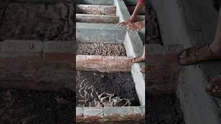 Vermi compost कैसे बनाएं ? | Vermi compost तैयार करने की विधि | गोबर खाद