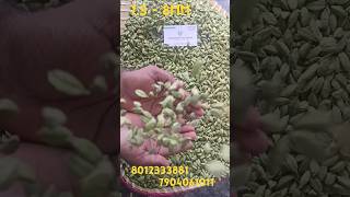 7.5 - 8MM CARDAMOM8012333881 #cardamomcityspices #cardamom #blackpepper#greencardamom #elachi#इलायची