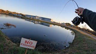 CORTLAND GUIDE SERIES 4wt FLY ROD COMBO POND TESTING