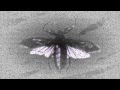Fabrice Lig - Masterfunkster (Original Mix) Various Artists - TULIPA097