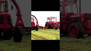 Græsdagen 2024 #farming #silage #vintagetractor #denmark #caseih #traktor