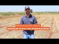 Protocolo de coleta - Bioanálise de Solo com Tecnologia BioAS