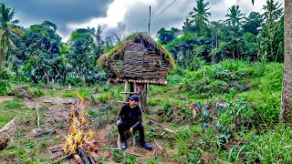 Survival Expert Builds 3 Amazing Shelters in the Wilderness  | from start to finish