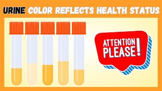 Urine color reflects your health status