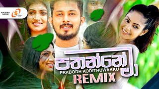 Pathanne Ma (පතන්නේ මා) | Prabodh Kodithuwakku | Remix Music Video 2021 | Sinhala Remix Songs 2021