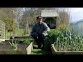 April Tour of my Raised Bed Vegetable Garden