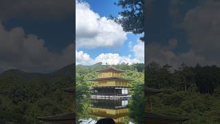 9/16 关西地区一人旅 Day 2 京都-奈良行 Part 1 #kyoto #japan #京都  #日本 #travelvlog #travelalone #奈良