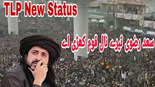 Hafiz Saad Rizvi New Tarana Status || TLP New Whatsapp Status || Allama Khadim Hussain Rizvi #shorts