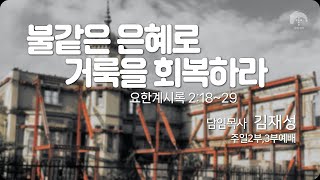 [큰나무교회]불같은은혜로거룩을회복하라_주일2부예배20231210_담임목사김재성