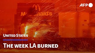 The week LA burned | AFP