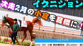 【一口馬主】イグニション、年内は充電期間にあて次走は2月の小倉を目標に！-中央再転入を果たし畑端厩舎にて懸命に堅実に走り抜いた9戦、来年の幕開けは中央初勝利を挙げた小倉を目指す-【ノルマンディーOC】