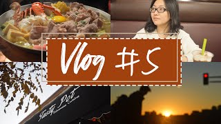 Vlog#5 日出茶太chatime|奶茶大杯半糖|TastyPot日本味增锅|StaurtWeitzman二次开箱|Reserve