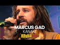 Marcus Gad & Tribe - Kanake Live At Rastaplas Festival Zoetermeer 2023