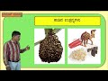 7ನೇ ತರಗತಿ ವಿಜ್ಞಾನ forests our life line part 1 ಕಾಡುಗಳು ನಮ್ಮ ಜೀವನಾಡಿ ಭಾಗ 1