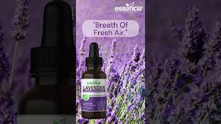 Lavender Essential Oil for Relaxation, Sleep, Laundry, Meditation, Massage and Aromatherapy.