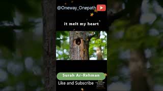 Surah-ar-rahman | it melt my heart | onepath_oneway | Meditation