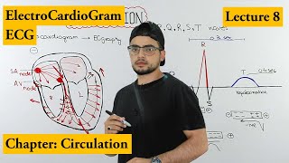 ECG (Electrocardiogram)  fully explained | Chapter circulation | Video 8