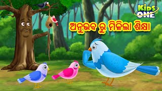 ଅନୁଭବ ରୁ ମିଳିଲା ଶିକ୍ଷା | Odia Gapa | Odia Moral Stories | Aaima Kahani | Odia Cartoon | Odia Story