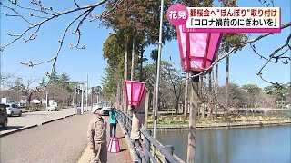 【さくら】３月２９日から＂観桜会”　上越市の高田城址公園で“ぼんぼり”の取りつけ作業が始まる　《新潟》