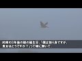 【感動する話】俺の初恋は相手は、姉の友達で一緒に登校していた年上の女の子。俺が22歳の時に再会。その時交わした、3年後の約束。そして3年後に俺は…