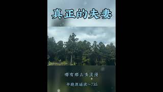 真正的夫妻～平晓原诵读735 #人生感悟 #正能量 #情感 #分享 #愛情 #感情 #推薦 #人生 #星座