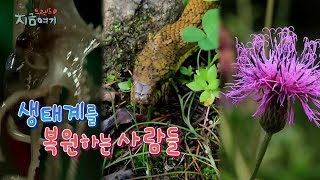 [트렌드 지금 여기] 생태계를 복원하는 사람들 / 연합뉴스TV (YonhapnewsTV)