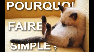 POURQUOI FAIRE SIMPLE ?