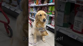 I can buy myself dog treats 😌 #goldenretriever #dog #puppyvideos #puppy #dogs