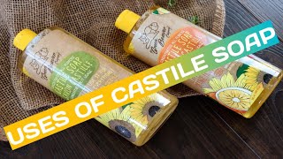 13 Uses For Castile Soap | Natural Cleaning For Body  And Home