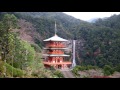 yajiさんの旅の道草 熊野那智大社・青岸渡寺・那智の滝 【kumano nachi shrine、seigantoji temple、nachi falls】