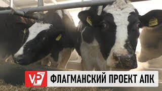 КРУПНЕЙШИЙ МОЛОЧНЫЙ КОМПЛЕКС СОЗДАН В ВОЛГОГРАДСКОЙ ОБЛАСТИ