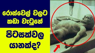 රොස්වෙල් වලට කඩා වැටුනේ පිටසක්වල යානයක්ද? | Roswell Incident | Piyaseriya - පියසැරිය