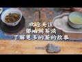 普洱茶评测系列之观止斋贺开古树2020