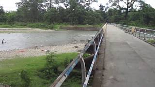 murti river in gorumara forest