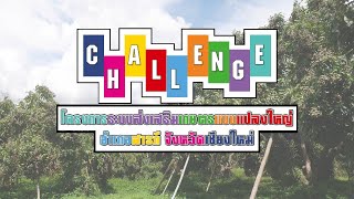 challenge โครงการระบบส่งเสริมเกษตรแบบแปลงใหญ่ อ.สารภี จ.เชียงใหม่