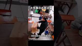 大爷展示大变活猫 #社会百态