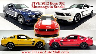 Five 2012 Ford Mustang Boss 302 Ford Mustangs in Stock! Rare Low Mileage Cars! at Classic Auto Mall