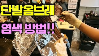 단발옴브레헤어 염색하는방법/ ombrehair Korean-beauty (수유역 제이제이헤어네일)