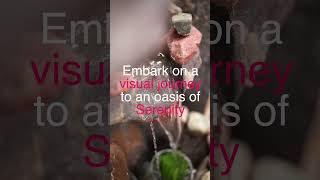 Find Inner Serenity at King Spa & Sauna | The Ultimate Korean Sauna Experience on the East Coast