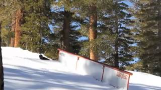 Shreducation - Taylor Watling Park Edit