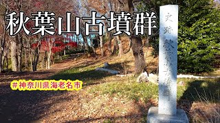 【東日本最古級】秋葉山古墳群【どこの誰が作った？】