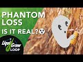 What is Phantom Yield Loss?