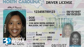 What’s On Tap For NC Drivers? DMV To Add Kiosks At Grocery Stores To Relieve Lines