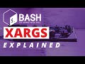 Bash Xargs