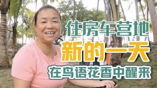 住房车营地，离岛前最后一天，在鸟语花香中醒来，“围观”让我倍感温暖【五十岁阿姨自驾游】